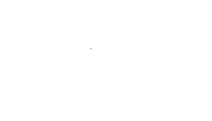 XQ Institute